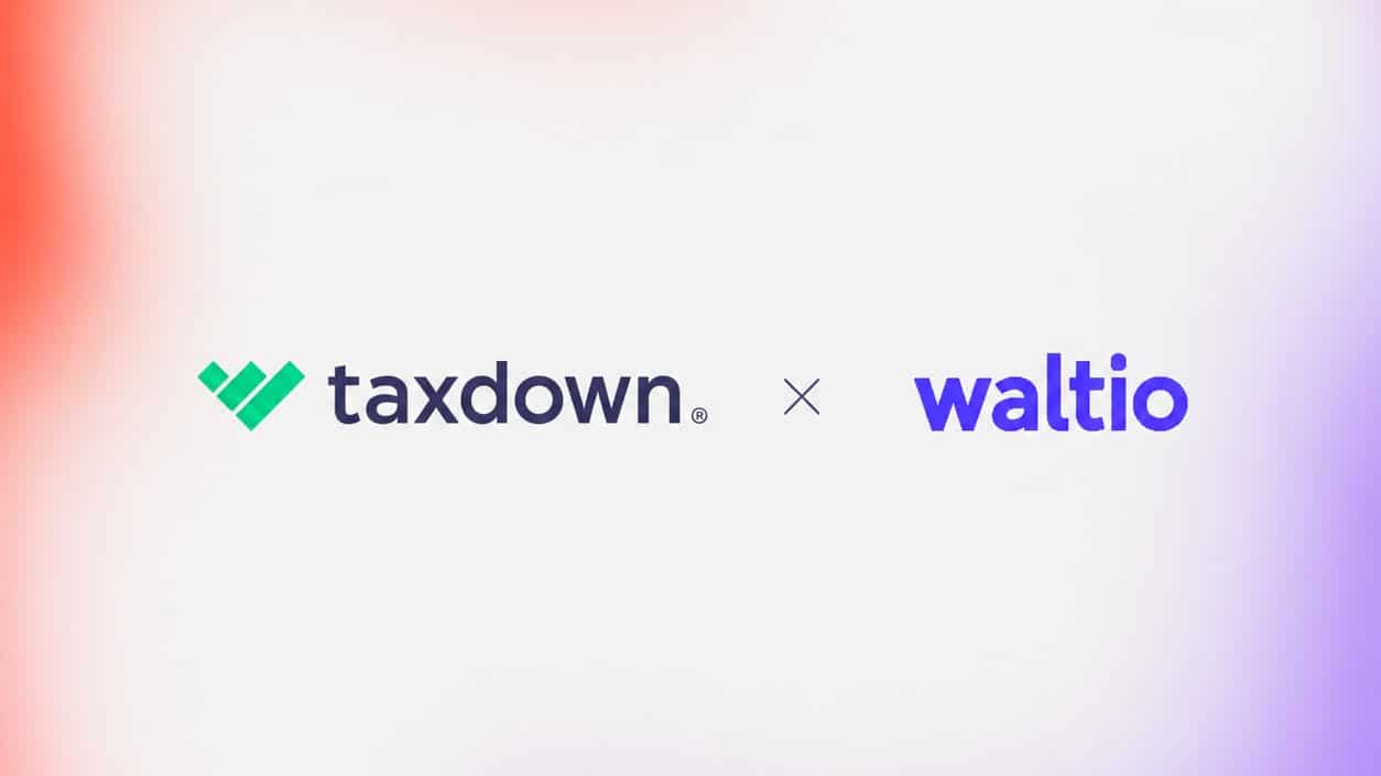 Cómo declarar tus criptomonedas con TaxDown y Waltio